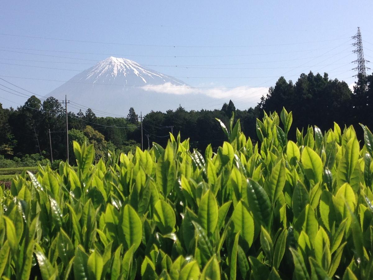 Goraikou Sansou Mt Fuji New 7Th Station Fujinomiya Route Exterior foto